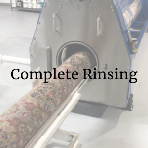LEARN MORE Complete Rinsing and Water Extraction after rug cleaning